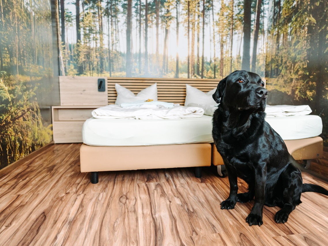 Ein Doppelbett mit zwei Nachttischen, die Wände im Hintergrund mit Fototapete eines Waldes. Am Fußende auf dem Laminat sitzt ein schwarzer Labrador. 