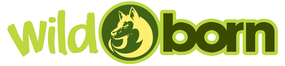 Logo Firma WildBorn