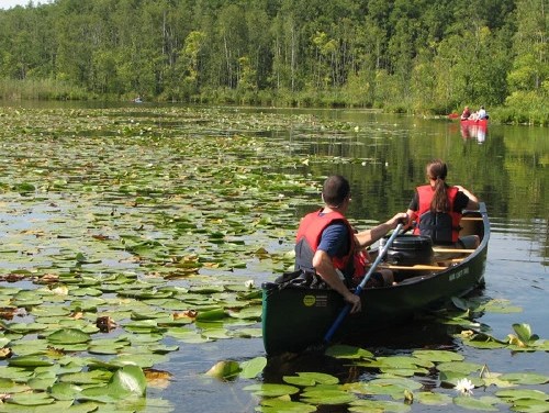 Zwei Personen in einem Kanadier fahren über einen mit Seerosen bedeckten See. Im Hintergrund Wald. 